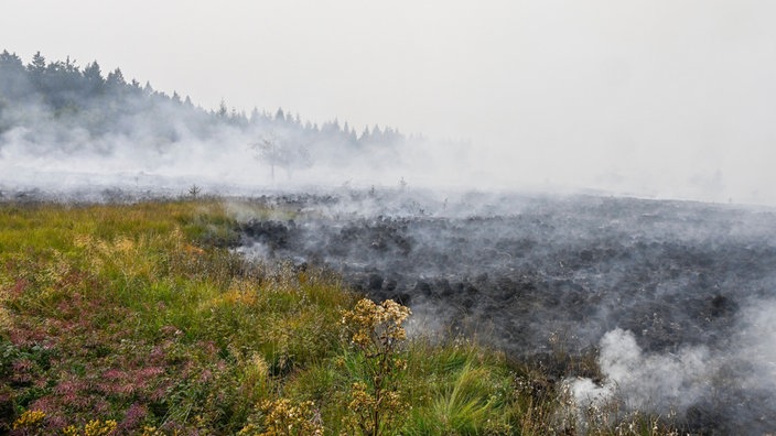 Das Feuer hat eine riesige Fläche des Natuschutzgebietes abgebrannt.