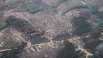 Die Aufnahme aus einem Flugzeug zeigt das Waldbrandgebiet im Hürtgenwald. Mehrere Hundert Hektar Waldfläche.
