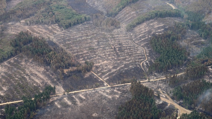 Die Aufnahme aus einem Flugzeug zeigt das Waldbrandgebiet im Hürtgenwald. Mehrere Hundert Hektar Waldfläche.