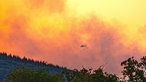 Ein Hubschrauber während der Löscharbeiten im Hürtgenwald. Die Rauchwolken bedecken das komplette Dürener und Zülpicher Becken.