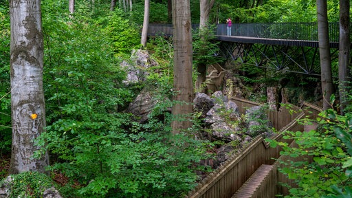 felsige Landschaft mit Brücke und Wald