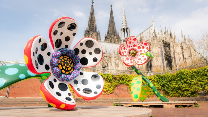 Bunte Blumen der japanischen Künstlerin Yayoi Kusama stehen auf der Dachterrasse des Kölner Museum Ludwig; im Hintergrund ist der Dom