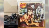 Die Schallplatte "Diamond Dogs" von David Bowie steht neben einem Plattenspieler. Das Cover zeigt das Gesicht Ziggy Stardusts, das in den Körper eines Hundes übergeht