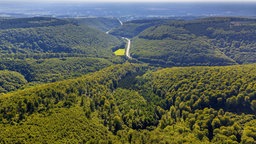 Der Teutoburger Wald im Eggegebirge.