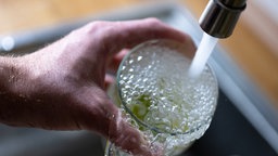 Unter einem Wasserhahn wird ein Glas mit Leitungswasser aufgefüllt
