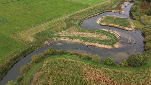 Grüne Landschaft von oben 
