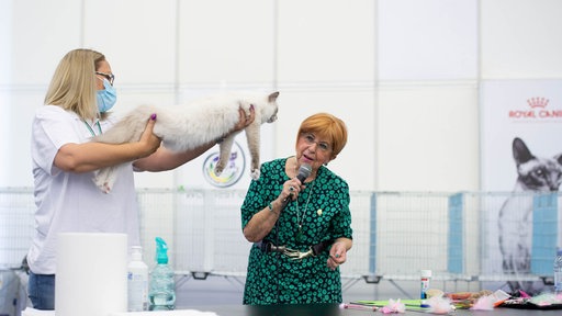 Anneliese Hackmann steht mit einem Mikrofon in der Hand an einem Tisch und begutachtet eine Katze, die vor ihr in die Luft gehalten wird.