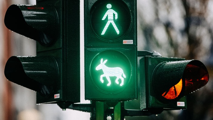 An einer Ampel leuchtet das grüne Lichtzeichen in Form eines Esels.