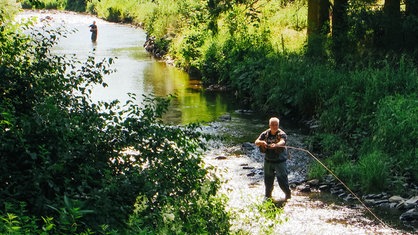 Ein Fluss von oben, darin stehen zwei Männer mit Angelruten.