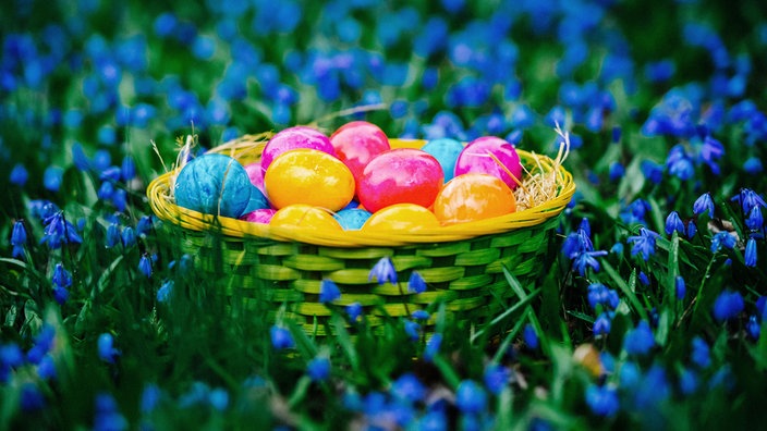 Ein mit bunten Ostereiern befüllter Osterkorb steht auf einer Blumenwiese.