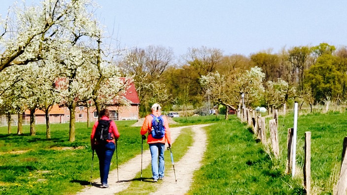 Zwei Menschen von hinten auf einem Weg, der durch blühende Obstbaumfelder führt