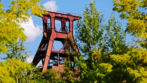 Alte Förderanlage der Zeche Zollverein ragt zwischen Bäumen hervor.