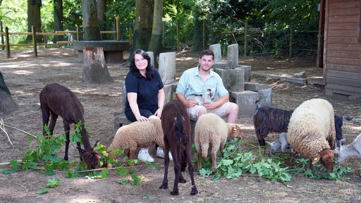 Jeanette Heindorf und Markus Köchling sitzen in ihrem Streichelzoo.