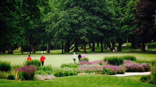 Menschen laufen zwischen Blumen und Bäumen durch den Kurpark in Bad Driburg.