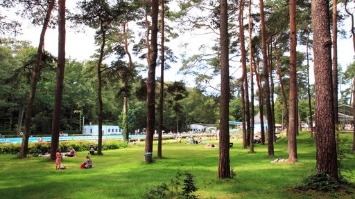 Die Liegewiese unter Bäumen des Waldbads Köln-Dünnwald.