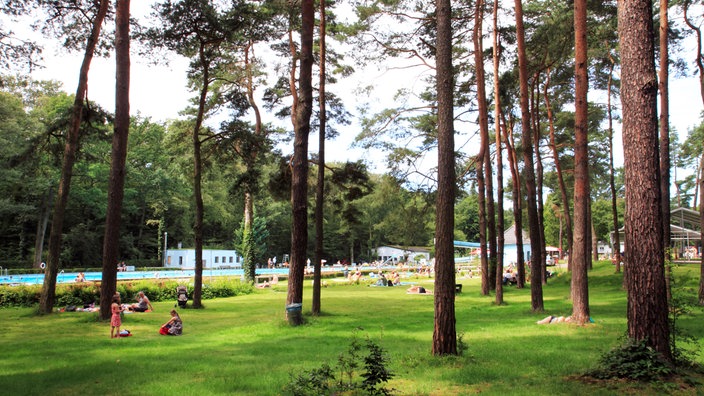 Die Liegewiese unter Bäumen des Waldbads Köln-Dünnwald.