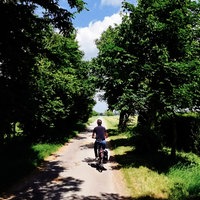 Ein Fahrradfahrer fährt an Bäumen und Feldern entlang