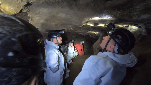 Höhlenwanderer in weißen Overalls und schwarzen Helmen auf dem Kopf stehen in einer kleinen Höhle.