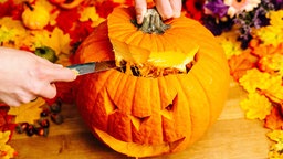 Zu Halloween werden Kürbise beim Schnitzen in verschiedene Gestalten verwandelt.