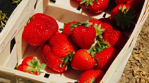 Rote Erdbeeren in einer Holzkiste