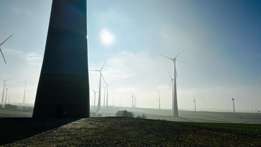 Windräder vor blauem Himmel.