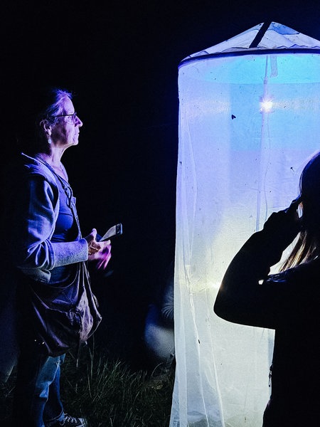 Eine Frau und drei Mädchen stehen um eine Leuchtsäule, die Insekten anzieht.