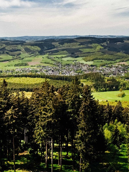 Eine Landschaft. In der Ferne waldbedeckte Berge. Im Vordergund Fichten.