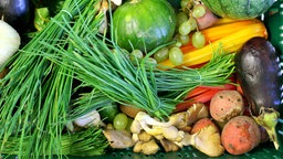 Das Beitragsbild des Dok 5 Feature "Einmal gesund und günstig bitte! Mittagstisch in Kita und Schule" zeigt verschiedenes, frisches Gemüse und Obst in einer Kiste.
