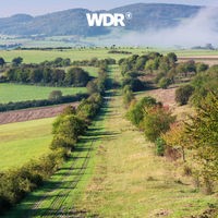 Das Beitragsbild des WDR 3 Musikporträt "Der Deutschland-Äquator" zeigt die ehemalige innerdeutsche Grenze bei der Gedenkstätte Point Alpha in Rasdorf, Rhön, Hessen, Deutschland.