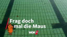 Algen im Becken eines Freibads