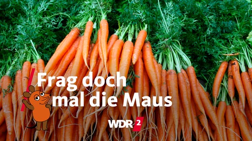 Bundmöhren auf einem Marktstand