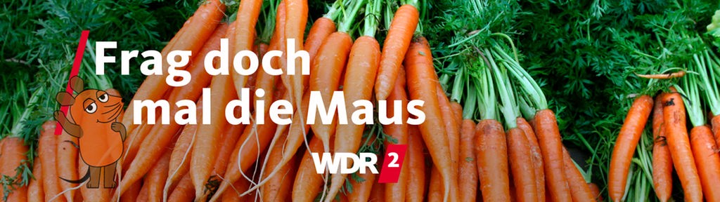 Bundmöhren auf einem Marktstand