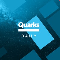 Quarks Daily Spezial Schriftzug