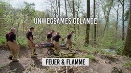 Feuerwehrmänner gehen durch einen Wald