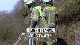 Feuerwehr-Leute stehen auf einem Weinberg