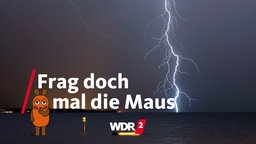 Gewitter mit Blitzeinschlag über dem Bodensee 