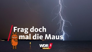 Gewitter mit Blitzeinschlag über dem Bodensee 