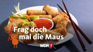 Frittierte Frühlingsrollen und ein Schälchen mit Sauce auf einem Teller
