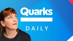 Quarks Daily Spezial Schriftzug