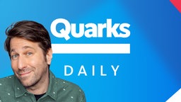 Quarks Daily Spezial Schriftzug