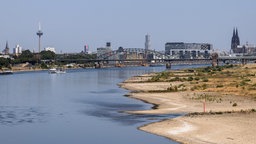 Niedrigwasser am Rhein in Köln (15.07.2026)