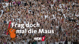 Fans im Stadion machen "La Ola"