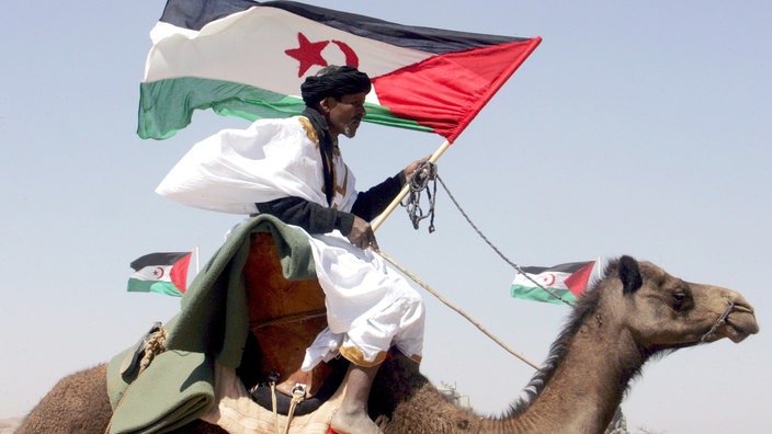 Das Beitragsbild des Dok5 "Machtpoker um die Westsahara" zeigt einen Sahraui auf einem Kamel in der Hand eine Flagge der Arabischen Demokratischen Republik haltend.