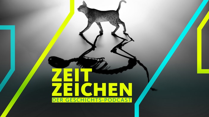 Illustration zu "Schrödingers Katze", einem Gedankenexperiment des österreichischen Physikers Erwin Schrödinger