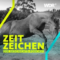 Ein Trakehner-Fuchs buckelt in einem Auslauf
