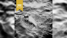 Ernst Vierkötter durchschwimmt den Ärmelkanal