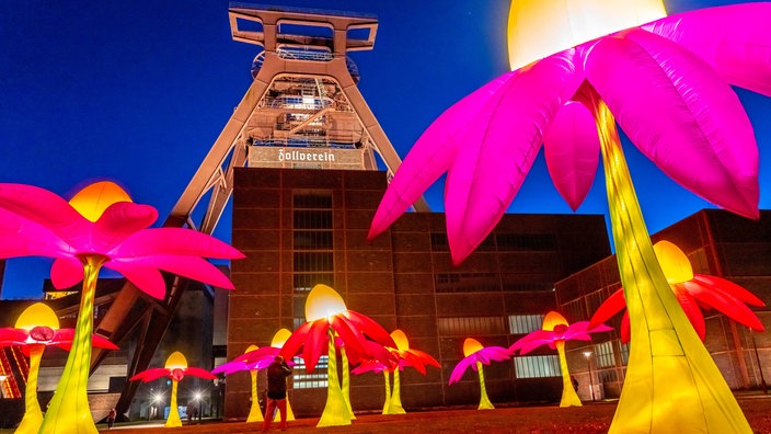 Feiern zum 25. Jubiläum der Route der Industriekultur im Ruhrgebiet, mehrtägige Feste, Höhepunkt ist die Extraschicht, die lange Nacht der Industriekultur, hier Leuchtende Blumen Illumination an der Zeche Zollverein in Essen