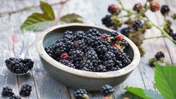 Eine Schale mit Brombeeren steht auf einem Holztisch.