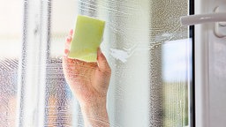 Von der anderen Seite der Fensterscheibe fotografiert: EIne Hand mit Schwamm, die gerade das Fenster putzt. Das Fenster ist dabei geöffnet.