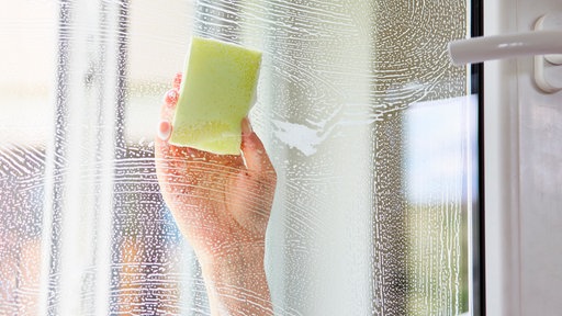 Von der anderen Seite der Fensterscheibe fotografiert: EIne Hand mit Schwamm, die gerade das Fenster putzt. Das Fenster ist dabei geöffnet.